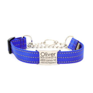 Royal Blue Reflective Chain Martingale