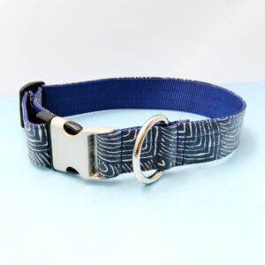 big dog collar wide carpi blue modern laminate collar
