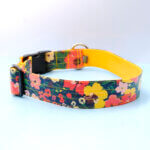 1.5 Inch Wide Personalized Floral Laminated Dog Collar 'Meadow'