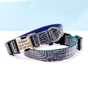 engraved blue laminated dog collar capri