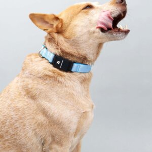 fox in fi series 3 herringbone 3