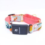 Fi Compatible Cotton Voile Martingale Dog Collar with Optional Name Plate