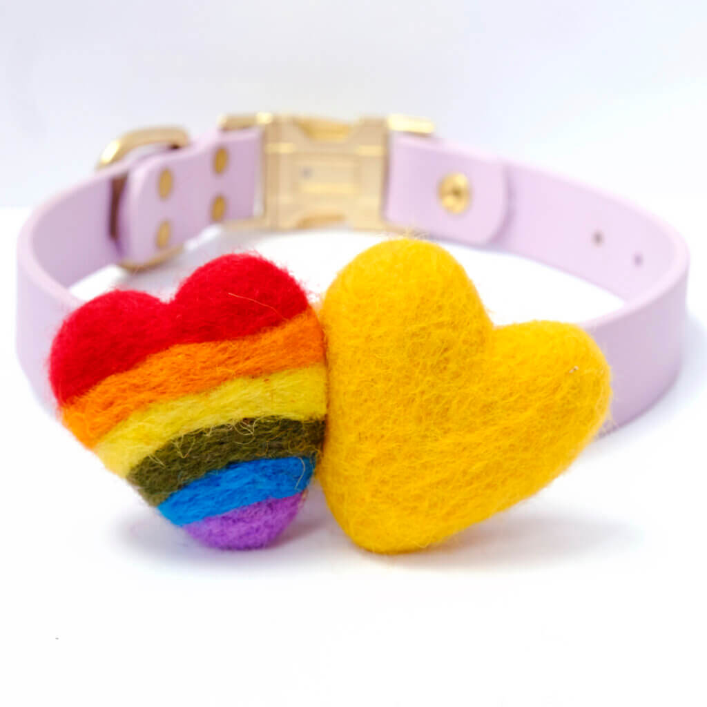 rainbow heart yellow pride dog collar