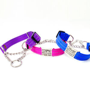 reflective chain martingale dog collar name plate
