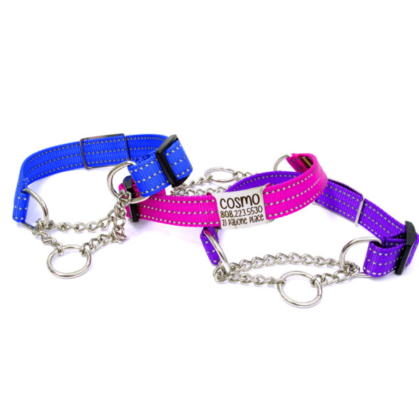 reflective dog collar chain martingale engraved