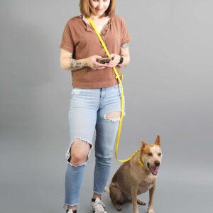 hands free leash crossbody demo