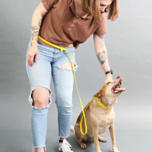 hands free leash waist demo 1