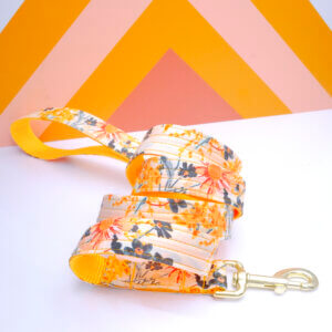 hazel yellow dog leash