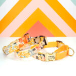 'Hazel' Yellow Floral Voile - Personalized Martingale Dog Collar