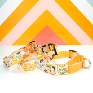martingale dog collar floral yellow engraved ID Hazel