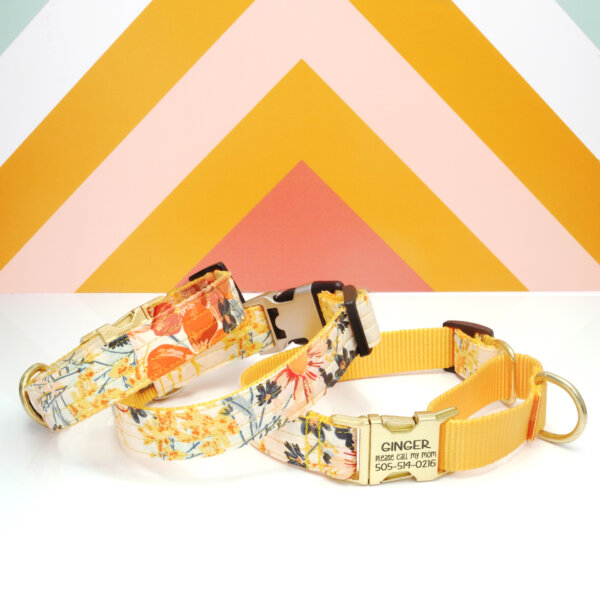 martingale dog collar floral yellow engraved ID Hazel