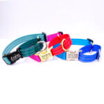 Two Toned Reflective Martingale Dog Collar - Personalized Buckle