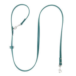 waterproof hands free convertible leash forest