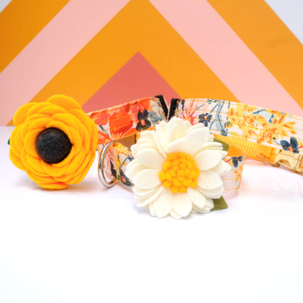 yellow floral dog collar hazel flowers