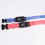Fi Compatible Nylon Dog Collar with Hand Embroidered Name