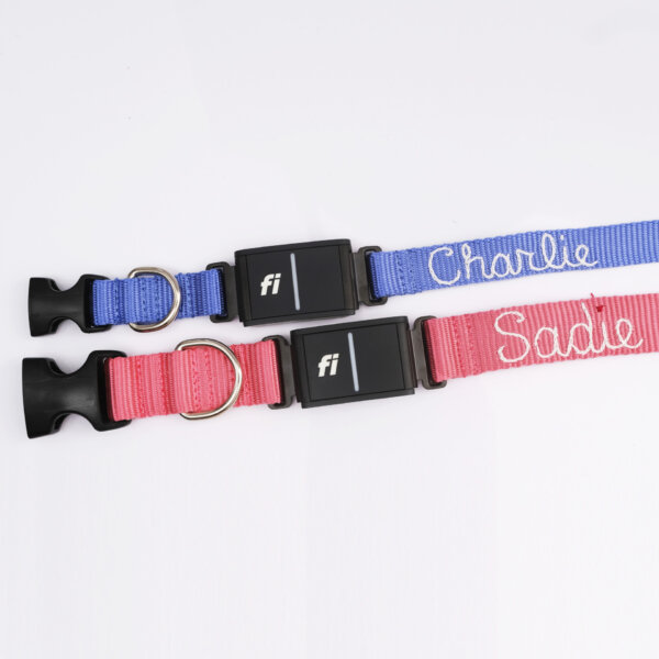 hand embroidered fi compatible dog collars nylon