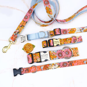 engraved floral dog collars flannel autumn