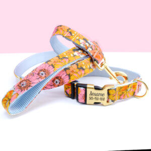 floral dog collar and leash autunm collar for girls