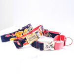 'Maizie' Floral Flannel - Personalized Martingale Dog Collar