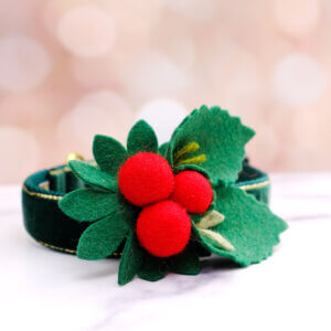 mistletoe dog collar accessory