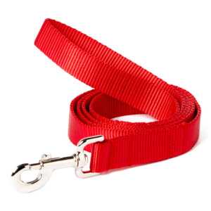 red dog leash nylon
