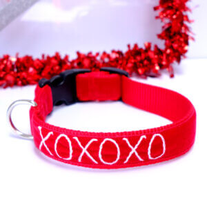 xoxo valentine dog collar embroidered