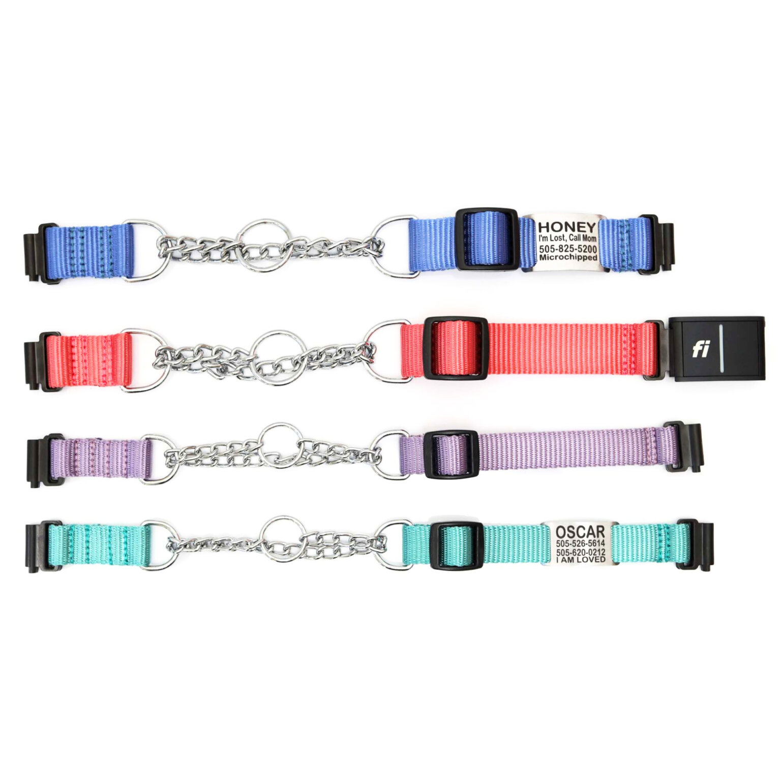Fi Compatible Nylon Chain Martingale Dog Collar 27 Color Engraved