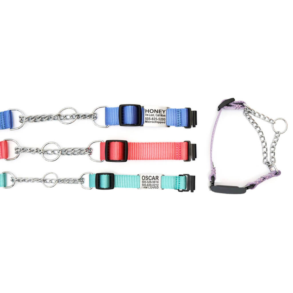 Fi Compatible Nylon Chain Martingale Dog Collar 27 Color Engraved
