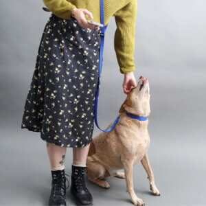 Hands free reflective leash square phone sling