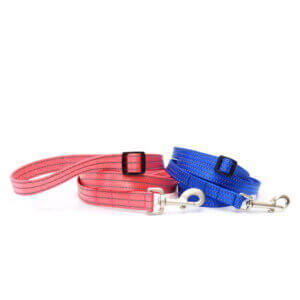 Reflective nylon hands free leash