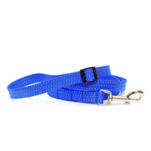 Royal Blue Reflective adjustable leash