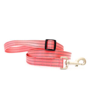 Strawberry reflective nylon leash hands free