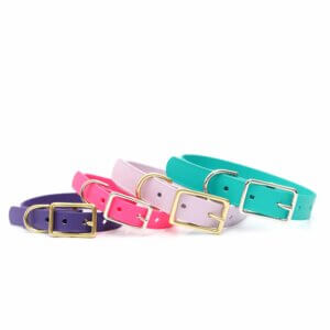 lightweight biothane belt buckles dog collars