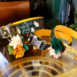 Dandelion canvas dog collar mood