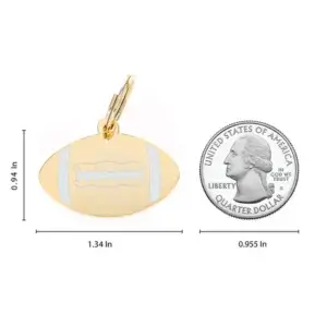 football dog id tag back