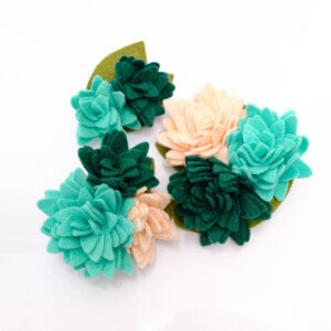 Succulent dog collar flower teal