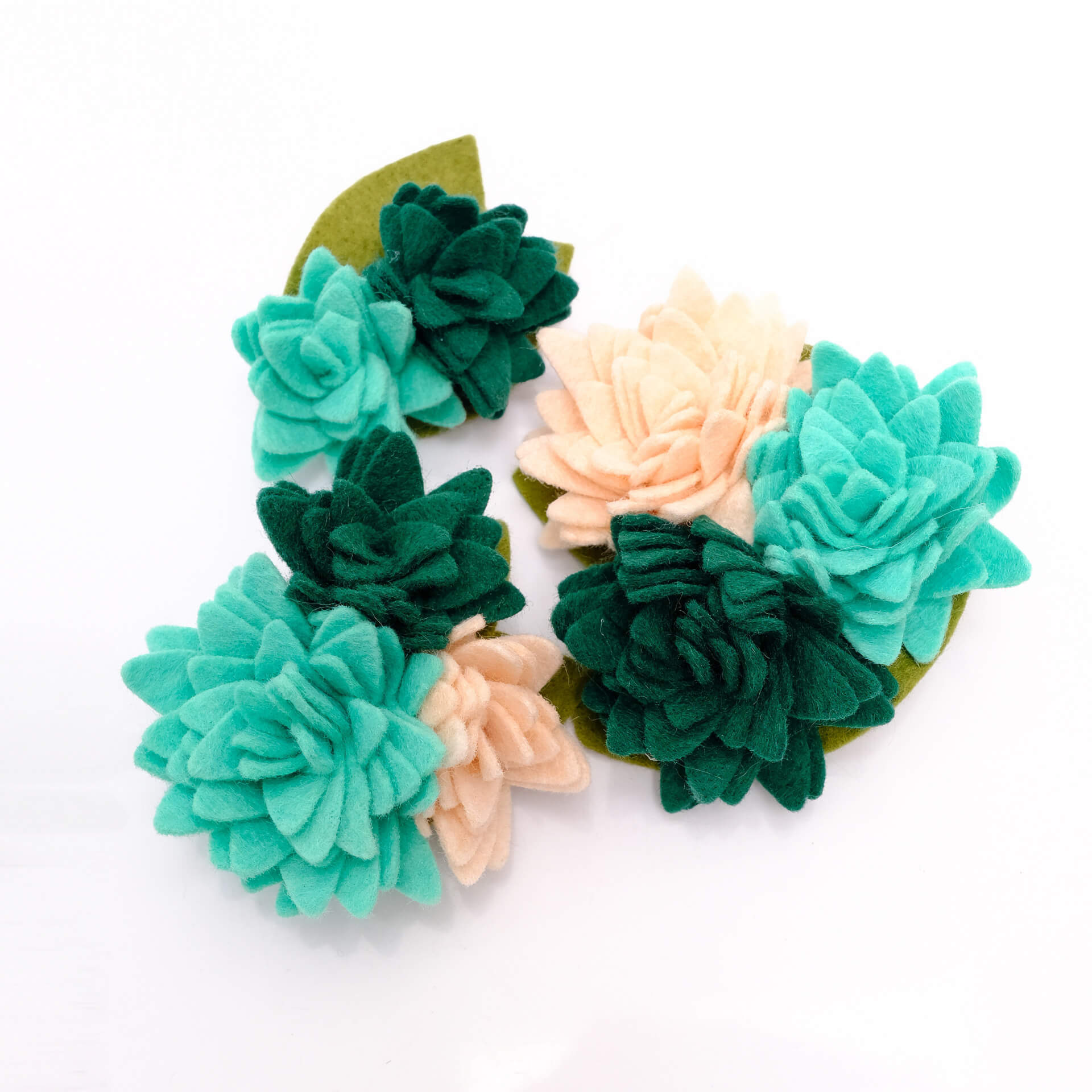 Succulent dog collar flower teal