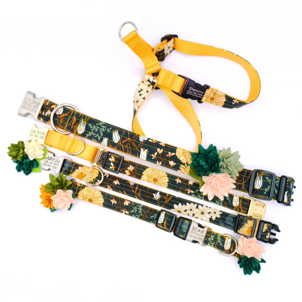 floral engraved ID dog collar Dandelion