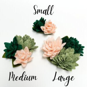 succulent accessory size