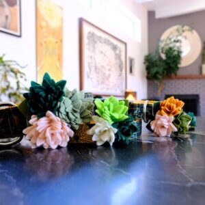 succulent dog collar accessory group shot