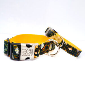 wide canvas dog collar dandelion personalized