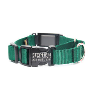 Fi Compatible Nylon Martingale Dog Collar with Quick Release Buckle - Image 7