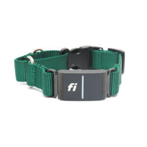 Fi Compatible Nylon Martingale Dog Collar with Quick Release Buckle - Image 10