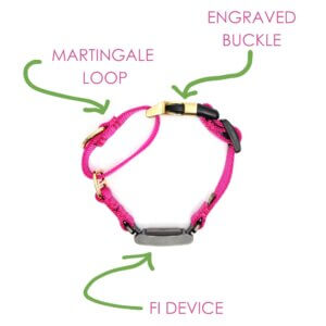 nylon fi buckle martingale Chart