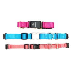 nylon fi buckle martingales