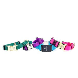 nylon fi buckle martingales