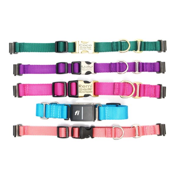 nylon fi buckle martingales 8