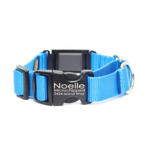 Fi Compatible Nylon Martingale Dog Collar with Quick Release Buckle - Image 15