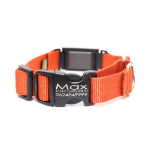 Fi Compatible Nylon Martingale Dog Collar with Quick Release Buckle - Image 16