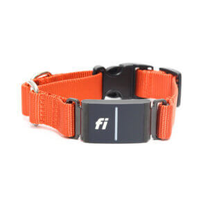 Fi Compatible Nylon Martingale Dog Collar with Quick Release Buckle - Image 14